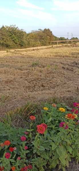 wx_camera_1666599733372.jpg