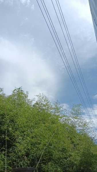 wx_camera_1721356232259.jpg