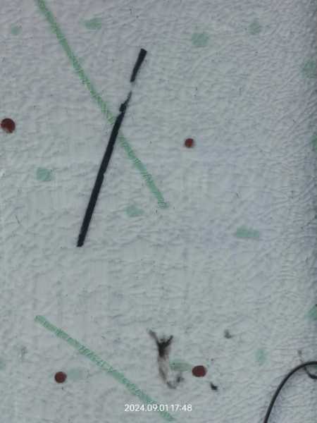 IMG20240901174842.jpg