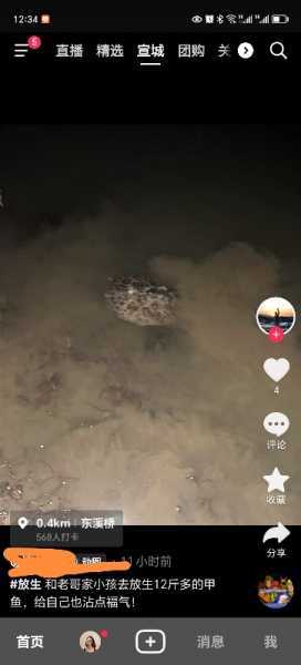 Screenshot_20240904_124028.jpg