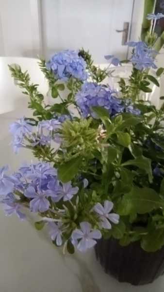 wx_camera_1725766175359.jpg