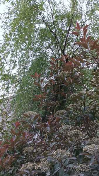 wx_camera_1744280074123.jpg