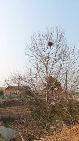 wx_camera_1741594465359.jpg