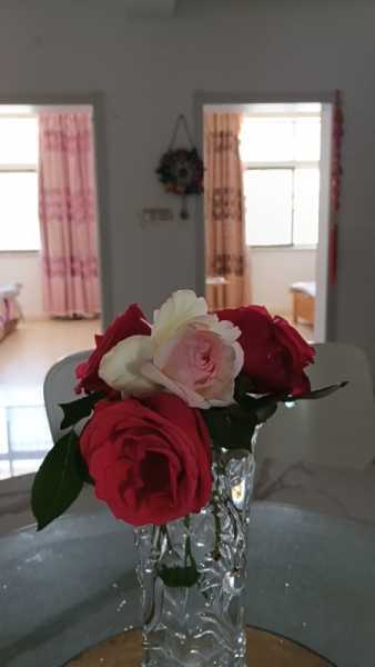 wx_camera_1744943609299.jpg